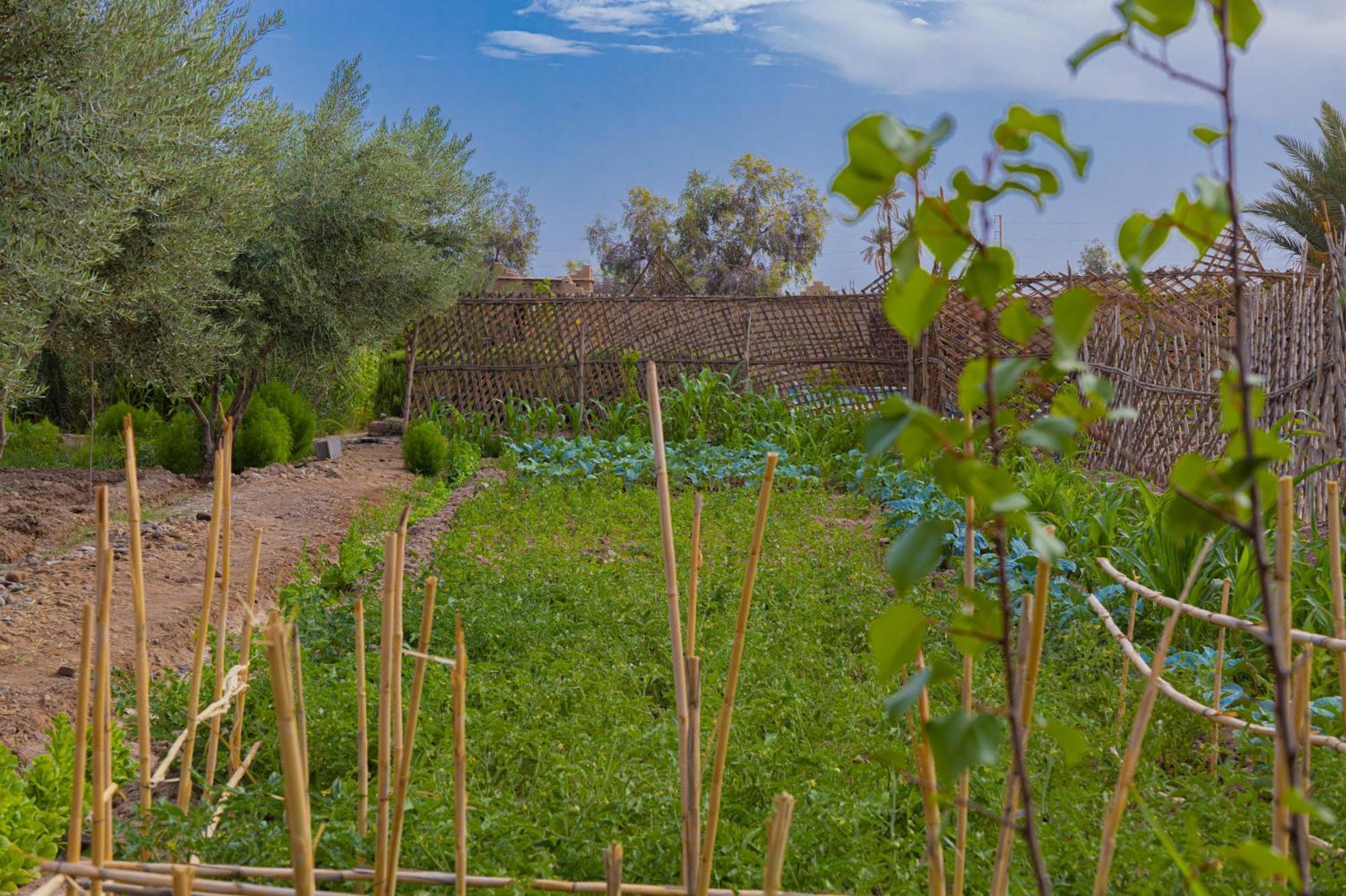 Maison D'Hote Amridil สกูรา ภายนอก รูปภาพ